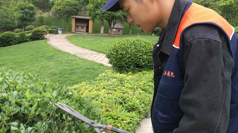 北京小区绿化养护合同价格：揭秘背后的考量因素