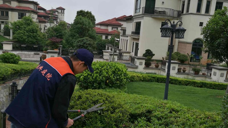 园林景观设计规范：如何精准运用提升工程质量**