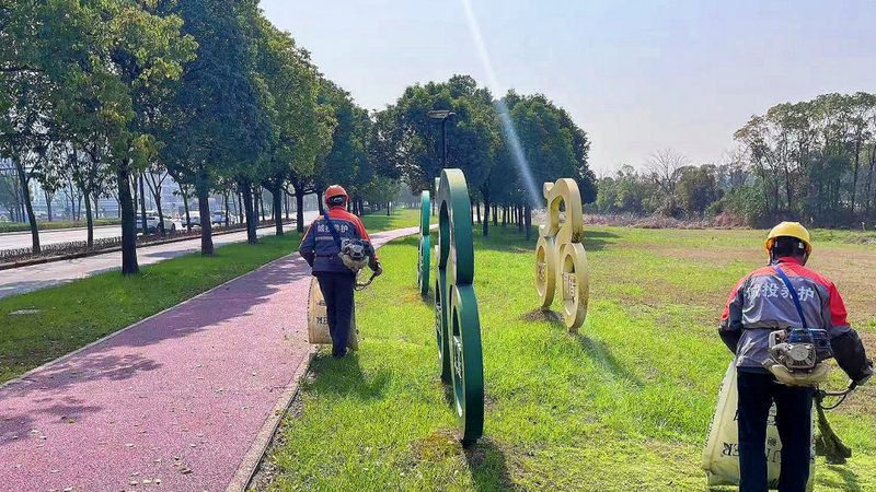 如何打造独具特色的假山喷泉景观？**