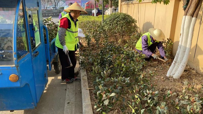 成都花木租摆批发市场：揭秘背后的行业秘密