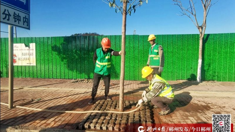边坡绿化挂网喷播材料：规格与选择要点