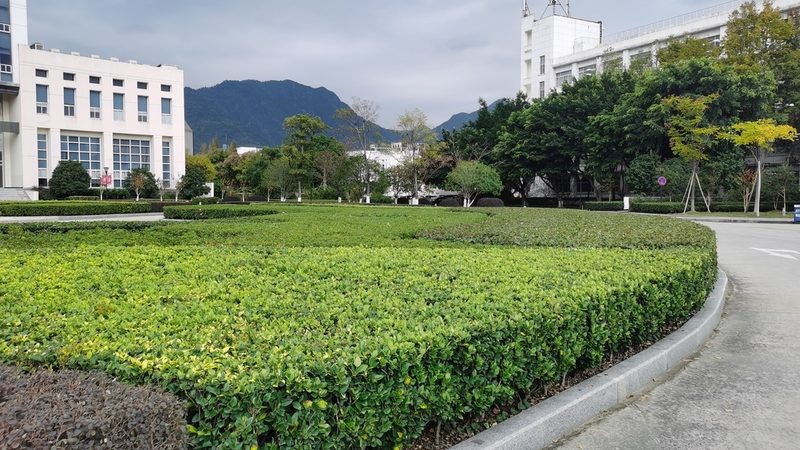 道路绿化工程招标资质条件全解析