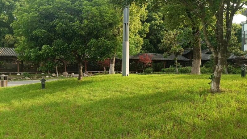 市政绿化工程资质等级分类：标准解读与实际应用