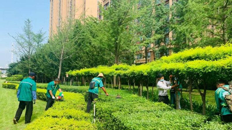 屋顶绿化防水卷材材质哪种好