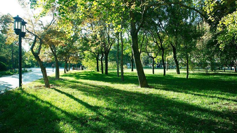 绿化土建工程技术参数：关键指标与标准解读**